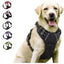 🐾 Pawline™ ComfortFit Dog Harness & Leash Set