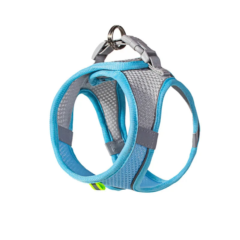 🐾 PawBloom™ Reflective Comfort Harness Set