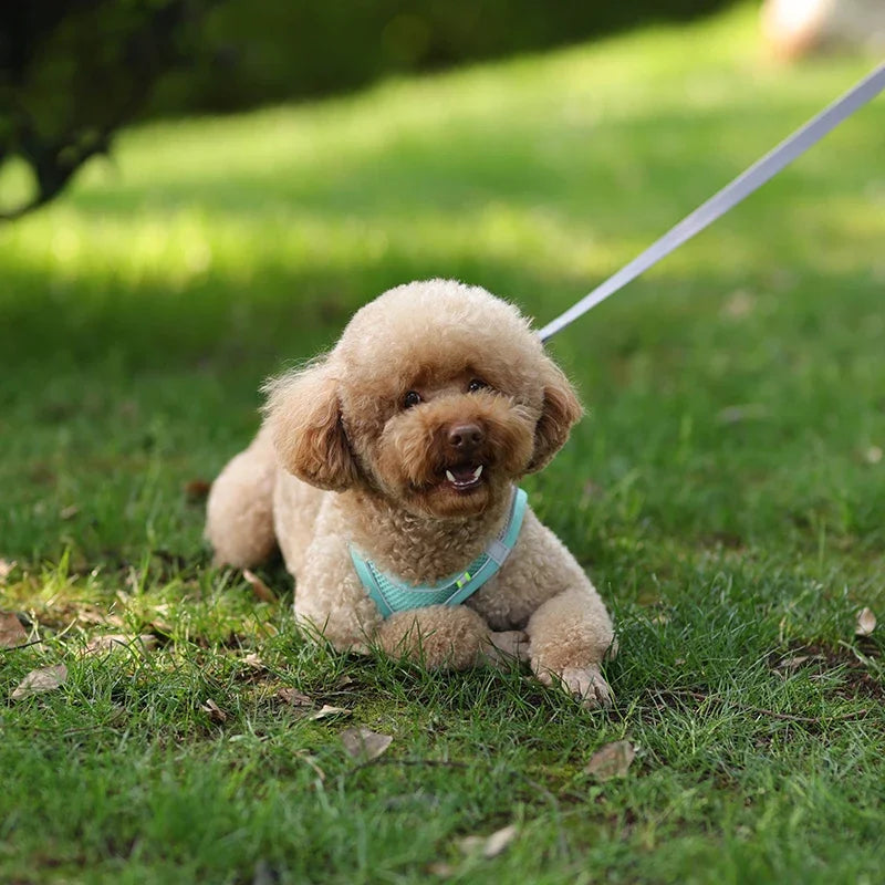🐾 Pawline™ Reflective Comfort Harness Set