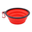 🐾 PawBloom™ Collapsible Travel Pet Bowl