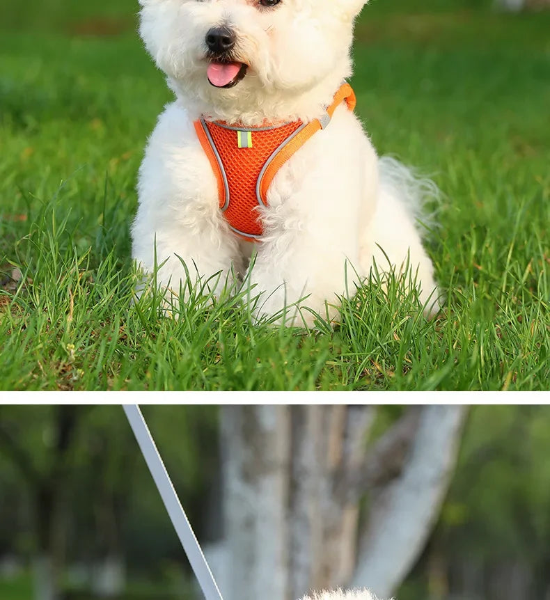 🐾 PawBloom™ AirFit Reflective Harness