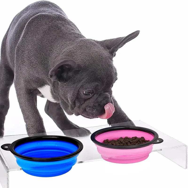 🐾 PawBloom™ Collapsible Travel Pet Bowl