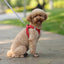 🐾 Pawline™ Reflective Comfort Harness Set