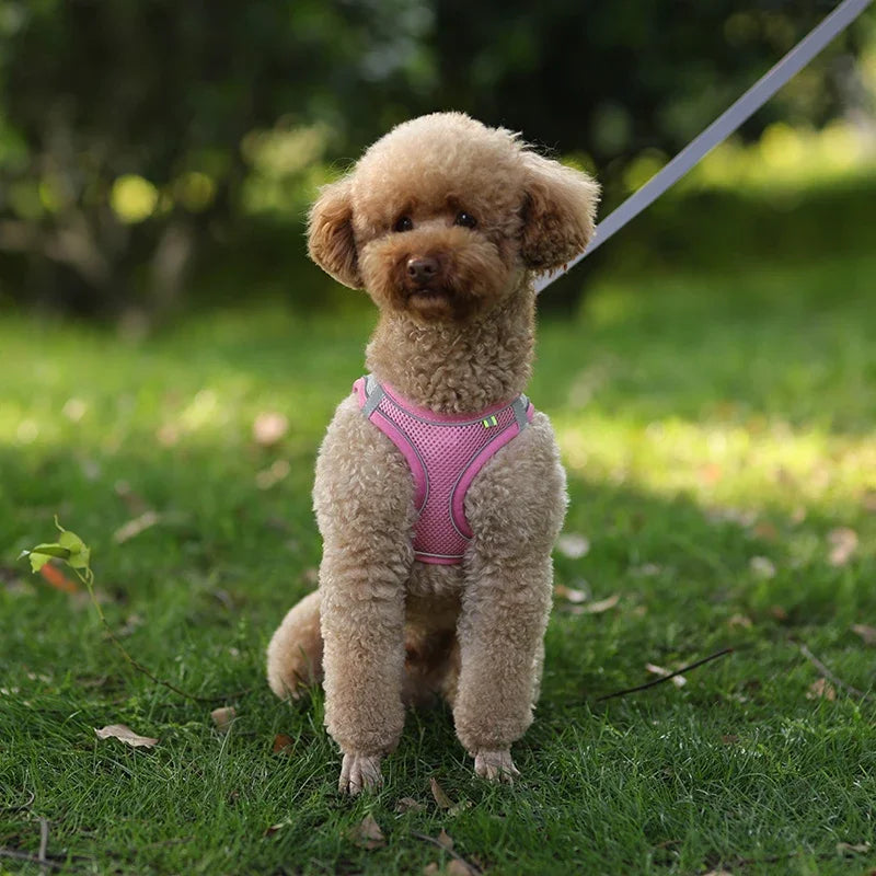 🐾 Pawline™ Reflective Comfort Harness Set