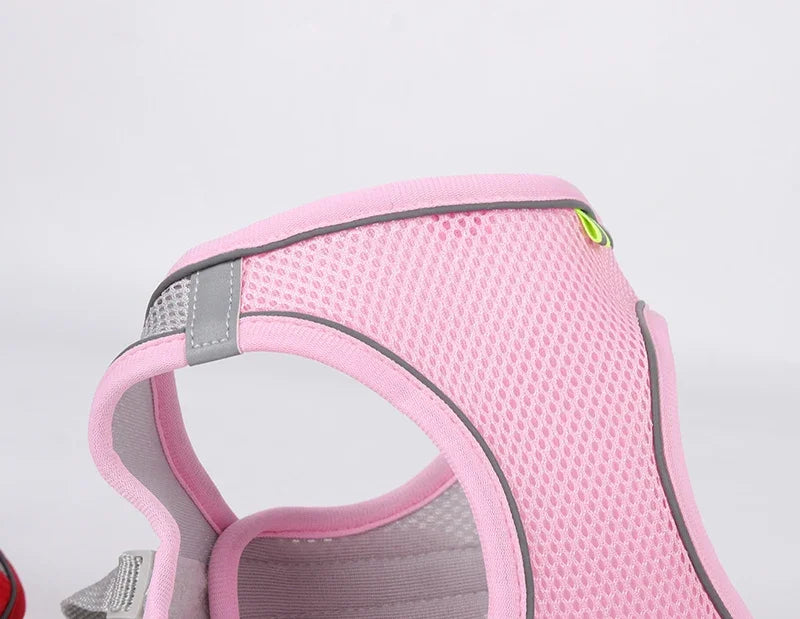 🐾 Pawline™ Reflective Comfort Harness Set