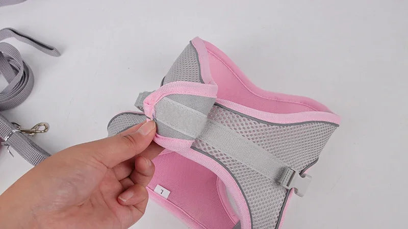 🐾 Pawline™ Reflective Comfort Harness Set