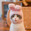 🐻🐰 PawBloom™ Cozy Critter Pet Hoodie