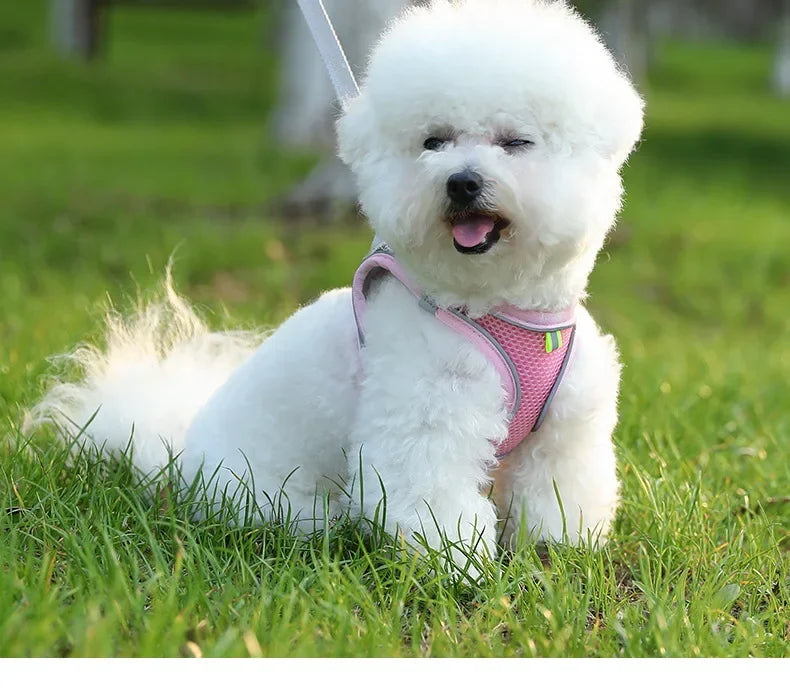 🐾 PawBloom™ AirFit Reflective Harness