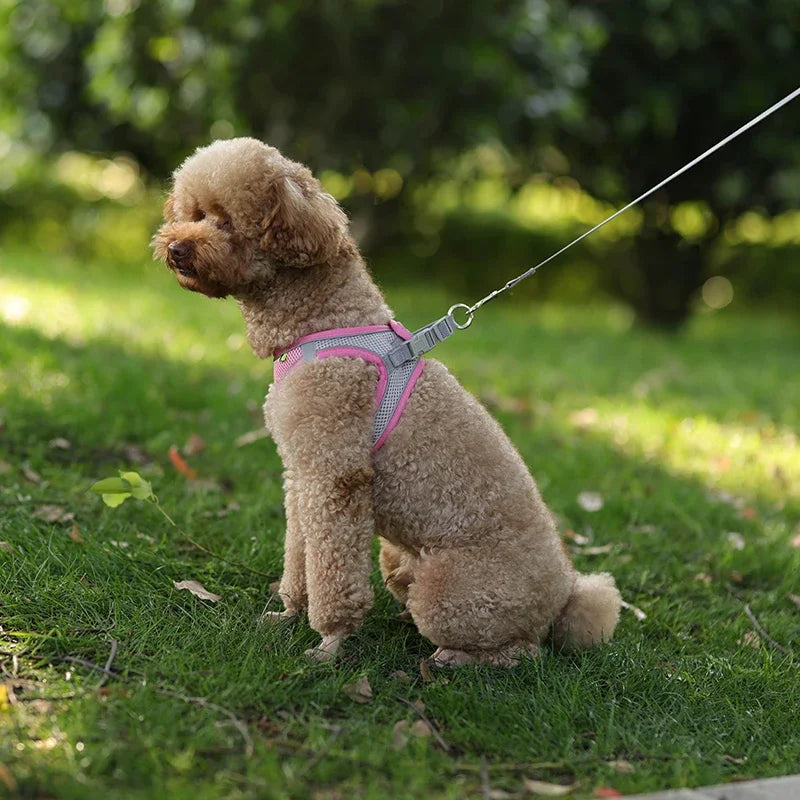 🐾 Pawline™ Reflective Comfort Harness Set