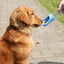 🚶‍♂️🐾 PawBloom™ 2-in-1 Travel Water Bottle & Feeder