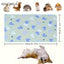 🐾 PawBloom™ Reusable Training Pee Pads (2-Pack)