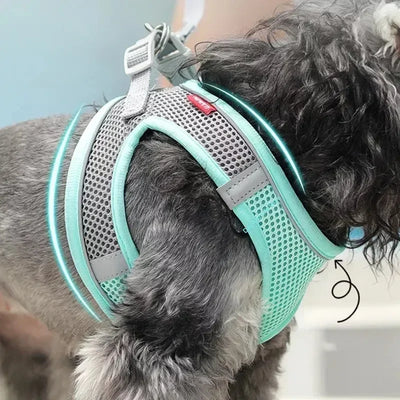 🐾 PawBloom™ Reflective Comfort Harness Set