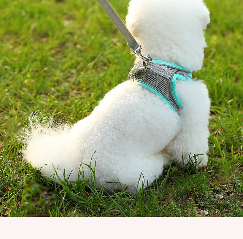 🐾 PawBloom™ AirFit Reflective Harness