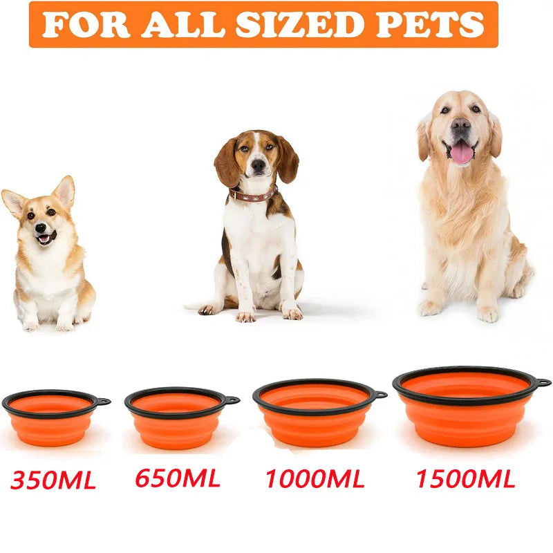 🐾 PawBloom™ Collapsible Travel Pet Bowl