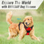 🐾 Pawline™ ComfortFit Dog Harness & Leash Set