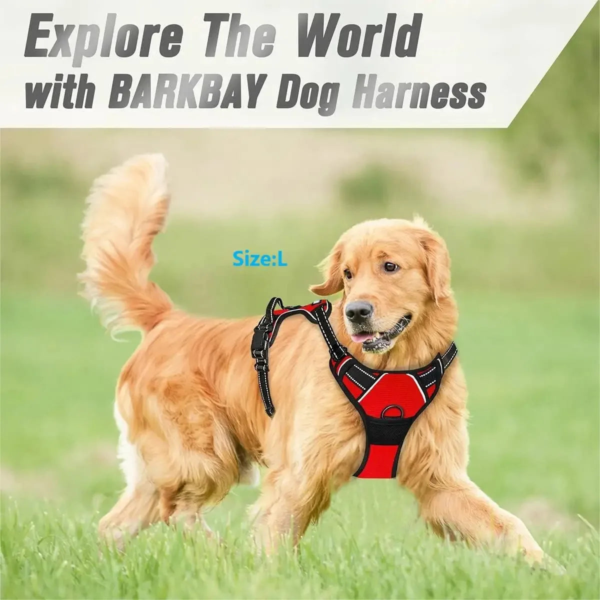 🐾 Pawline™ ComfortFit Dog Harness & Leash Set