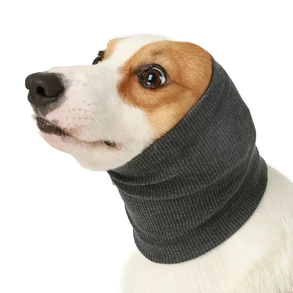 🐾 PawBloom™ Calming Pet Earmuffs