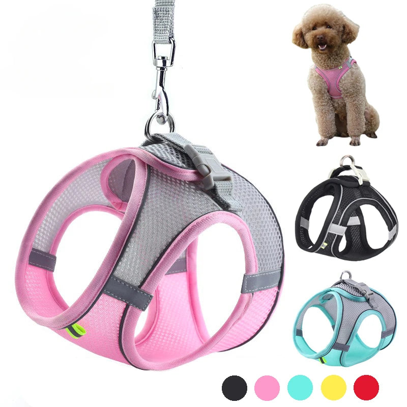 🐾 PawBloom™ Reflective Comfort Harness Set
