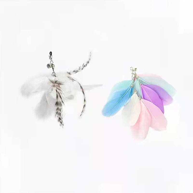 🐦🐾 PawBloom™ Interactive Bird Teaser Toy