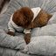 🐾 PawBloom™ UltraSoft Crate Sofa Pet Bed