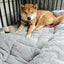 🐾 PawBloom™ UltraSoft Crate Sofa Pet Bed