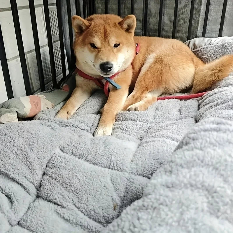 🐾 PawBloom™ UltraSoft Crate Sofa Pet Bed