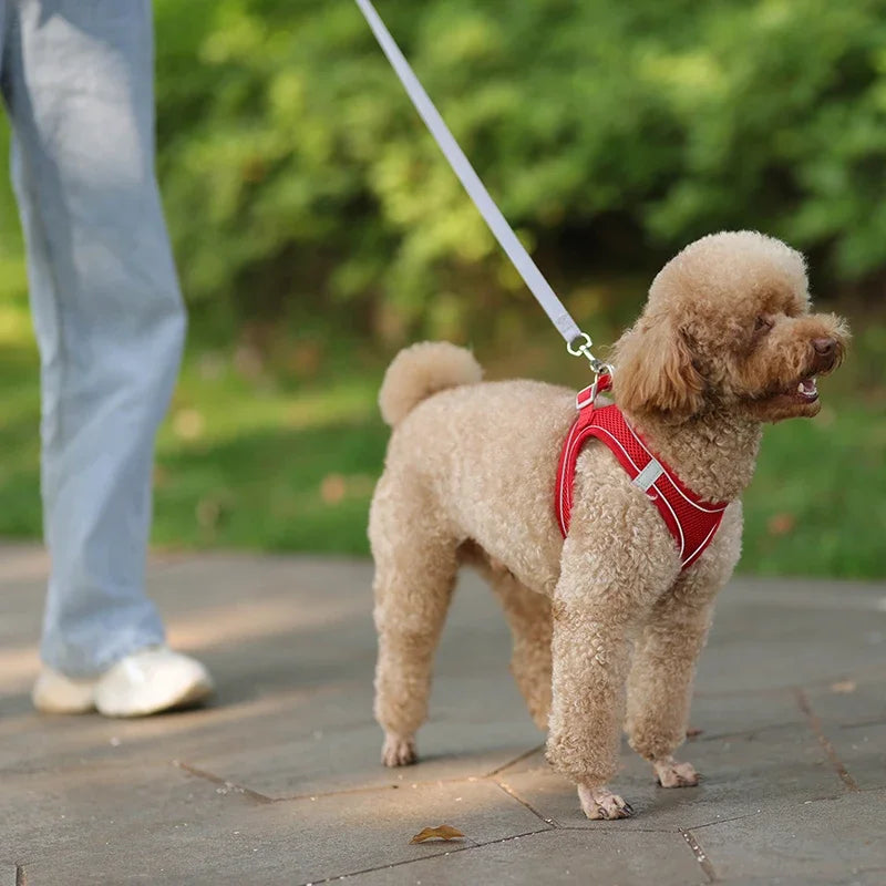 🐾 Pawline™ Reflective Comfort Harness Set