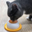 🐾 PawBloom™ Anti-Spill Lick Plate