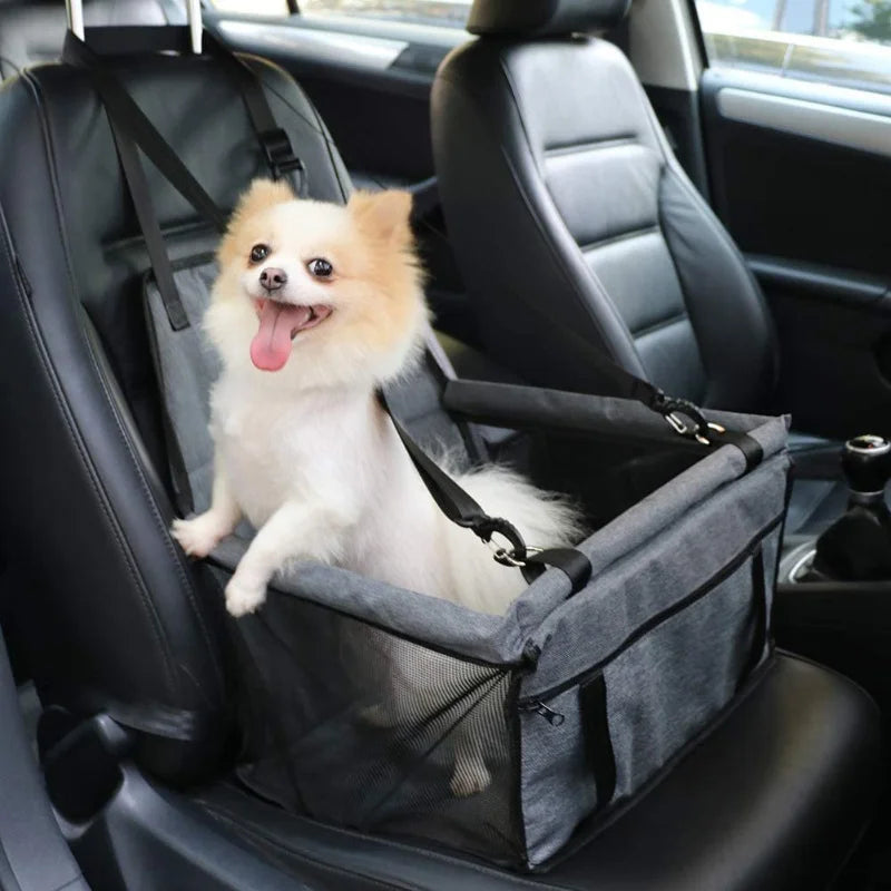 🚗🐾 PawBloom™ Foldable Pet Car Seat Booster