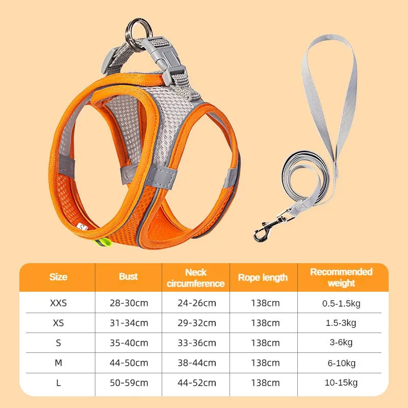 🐾 PawBloom™ Reflective Comfort Harness Set