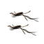 🐦🐾 PawBloom™ Interactive Bird Teaser Toy
