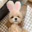 🐻🐰 PawBloom™ Cozy Critter Pet Hoodie