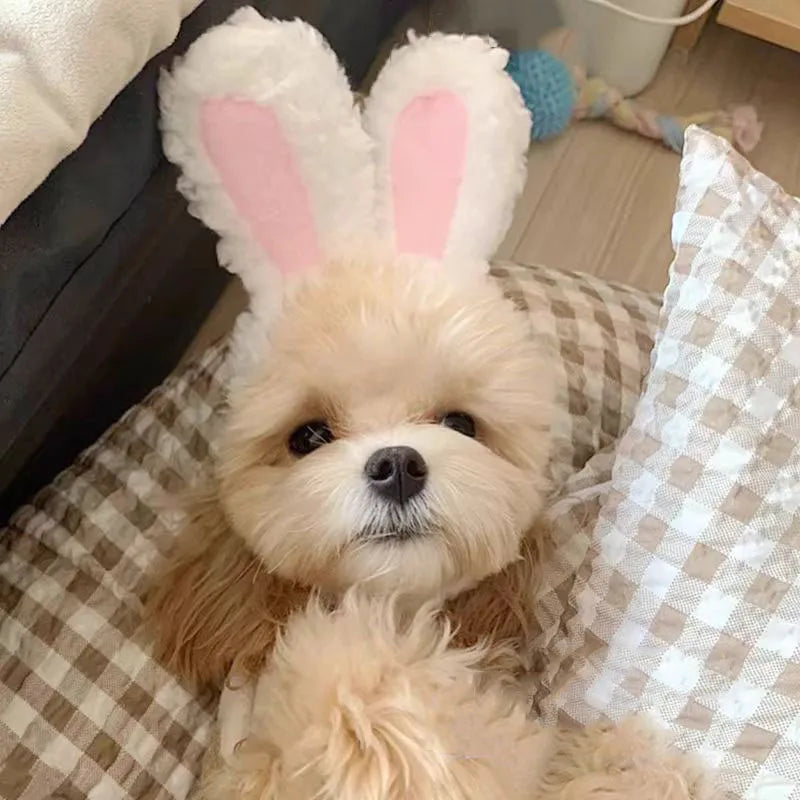 🐻🐰 PawBloom™ Cozy Critter Pet Hoodie