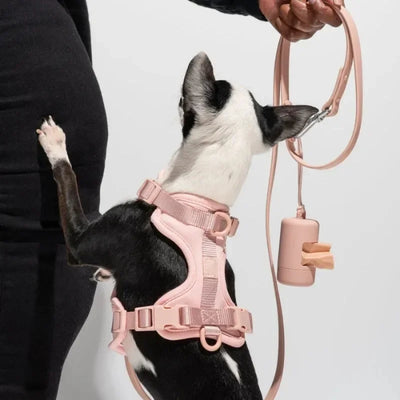 🐾 Portable Dog Waste Bag Dispenser