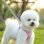 🐾 PawBloom™ AirFit Reflective Harness
