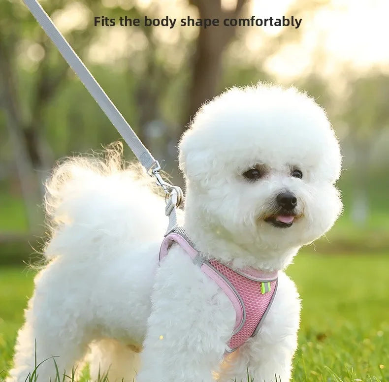 🐾 PawBloom™ AirFit Reflective Harness