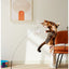🐦🐾 PawBloom™ Interactive Bird Teaser Toy
