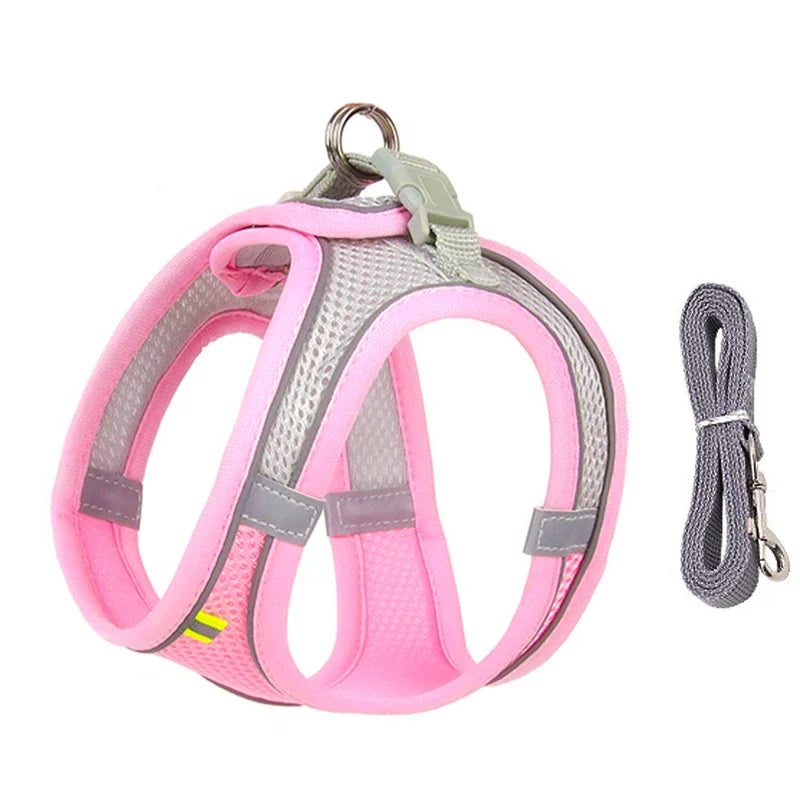 🐾 PawBloom™ Reflective Comfort Harness Set