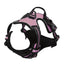 🐾 Pawline™ ComfortFit Dog Harness & Leash Set