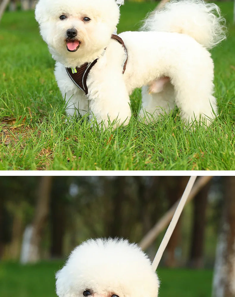 🐾 PawBloom™ AirFit Reflective Harness