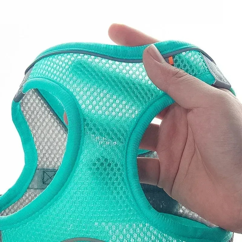 🐾 PawBloom™ Reflective Comfort Harness Set