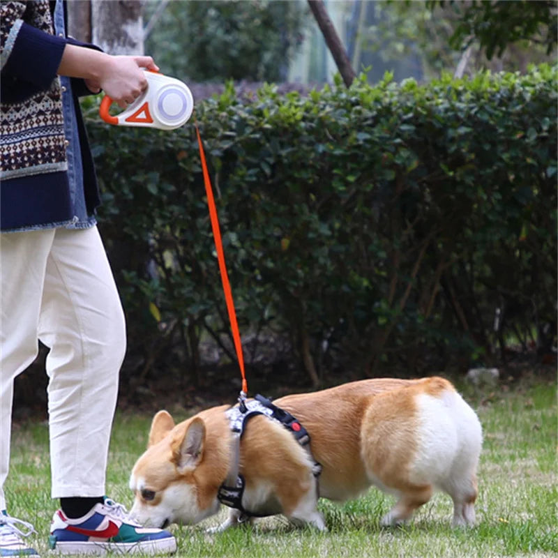 🐾 PawBloom™ LED Retractable Dog Leash (5M)