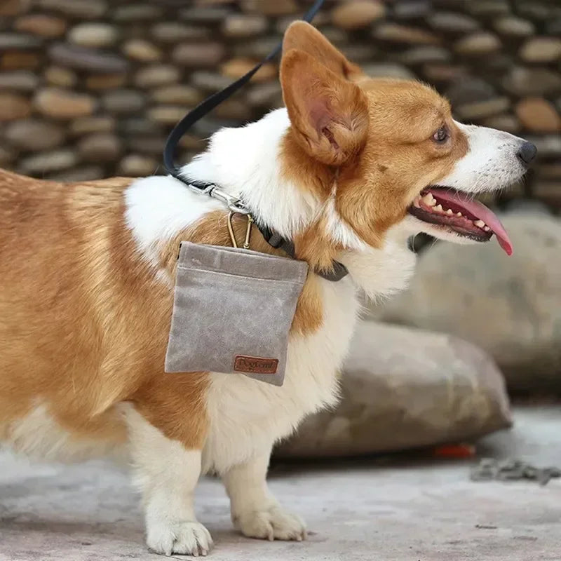 🎒🐾 PawBloom™ Pro Training Treat Pouch