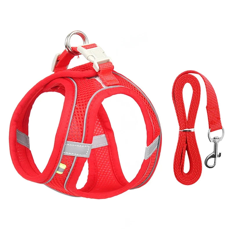 🐾 PawBloom™ Reflective Comfort Harness Set