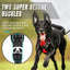 🐾 Pawline™ ComfortFit Dog Harness & Leash Set