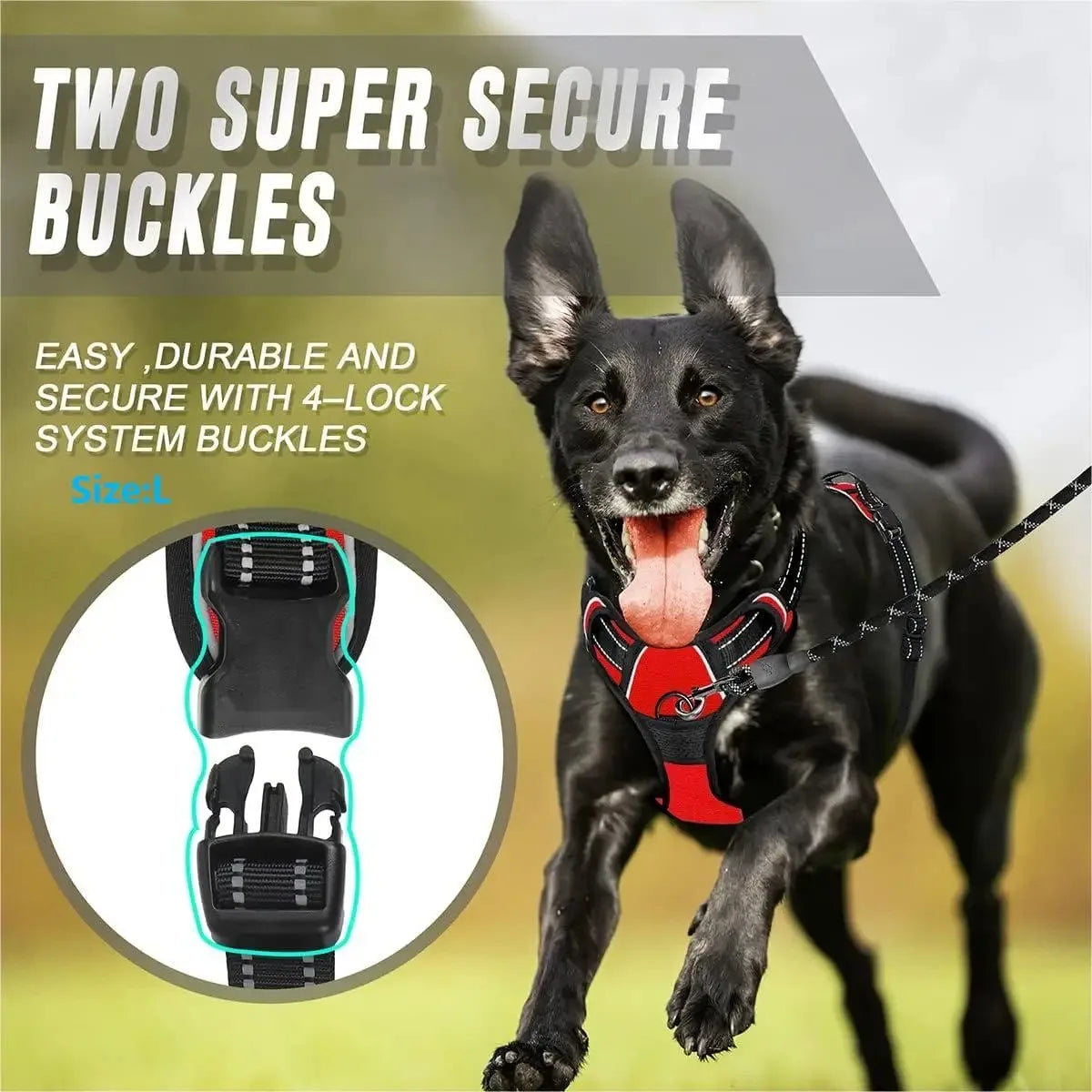 🐾 Pawline™ ComfortFit Dog Harness & Leash Set