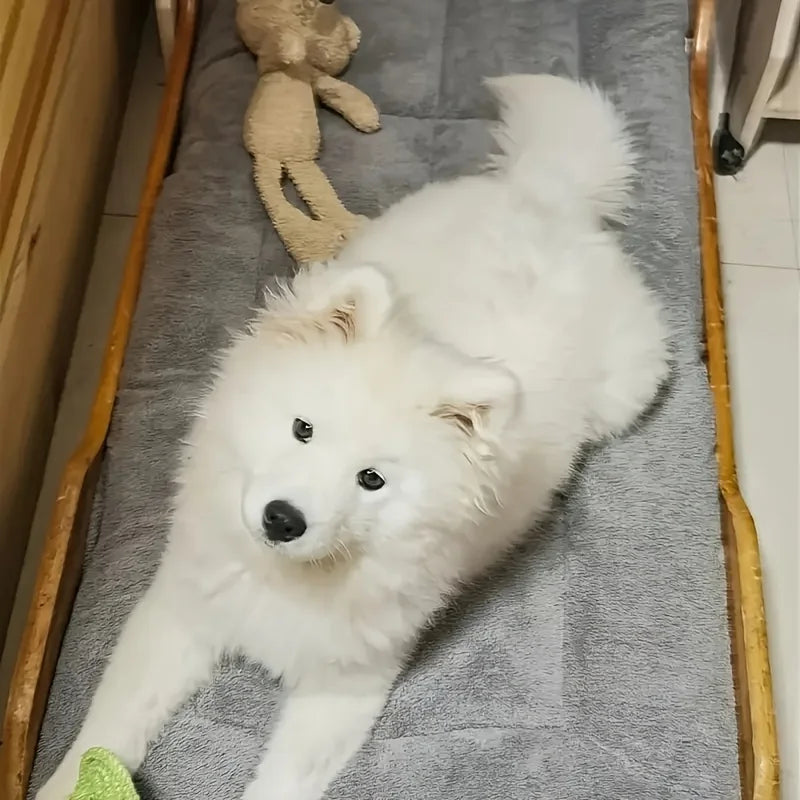 🐾 PawBloom™ UltraSoft Crate Sofa Pet Bed
