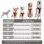 🐾 Pawline™ ComfortFit Dog Harness & Leash Set