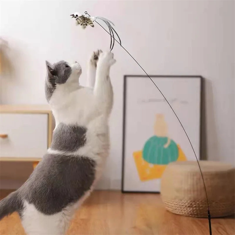 🐦🐾 PawBloom™ Interactive Bird Teaser Toy