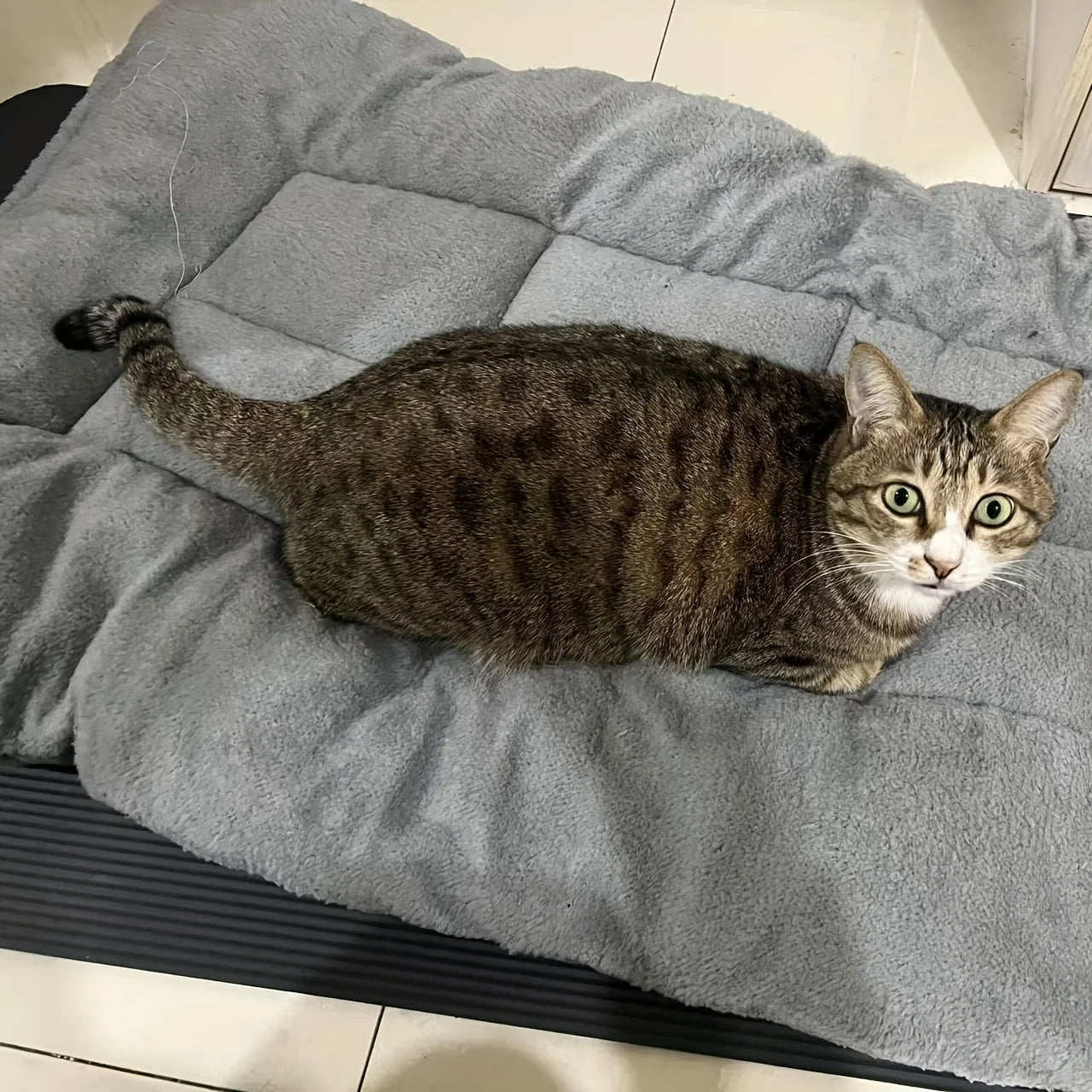 🐾 PawBloom™ UltraSoft Crate Sofa Pet Bed